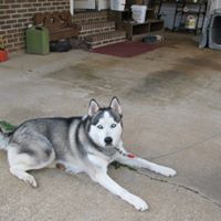 Kenneth Fuller Photo 43
