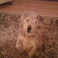 Sally Roberson Photo 11