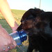 Jessie Bear Photo 15