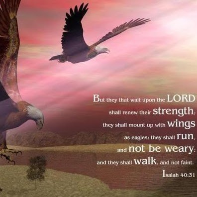 Ann Breeden Photo 26