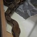 Mark Boaz Photo 7