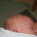 Laurie Janes Photo 13