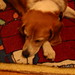 Lynda Bailey Photo 15