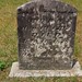 John Mccommon Photo 12