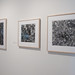 Michael Mcknight Photo 16