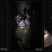 Jason Mucha Photo 15