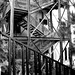 Nancy Greco Photo 27