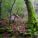 Clayton Moss Photo 11
