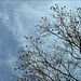 Stephen Shin Photo 31