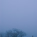 Anne Fort Photo 7