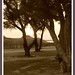 Sepia Fisher Photo 5