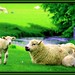 Martha Lamb Photo 14
