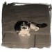 Donna Mc Photo 18