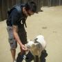 Thomas Hernandez Photo 23