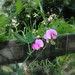 Beth Colvin Photo 22