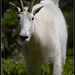 Robert Daugherty Photo 32