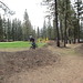 Marty Perkins Photo 15