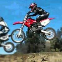 Steven Robbins Photo 29