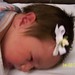 Elizabeth Arnold Photo 40