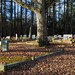 Thomas Willoughby Photo 41