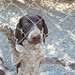 A Lewis Photo 24