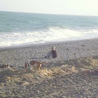 Teri May Photo 12