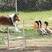 Sue Larson Photo 13