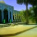 Mohammad Azeem Photo 47