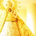 Mary Ayala Photo 27
