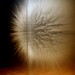 David Grams Photo 14