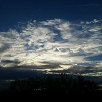 Anne Greene Photo 26