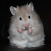 Belinda Brown Photo 15