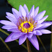 Marcia Moore Photo 9