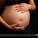 Clara Norris Photo 11