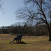 Rex Mckinney Photo 11