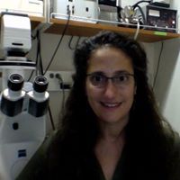 Robyn Klein Photo 28