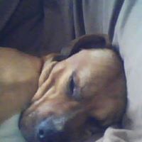 Carson Jenkins Photo 2