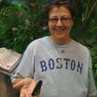 Debbie Lynch Photo 44