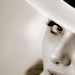 Veronica Ford Photo 9