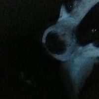 Mike Agee Photo 9