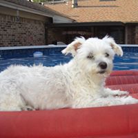 Mary Labonte Photo 24