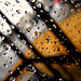 Amber Rains Photo 12