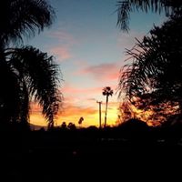 Jennifer Rhone Photo 28