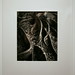 Adam Root Photo 18