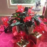 Ann Hubbard Photo 36