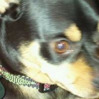 Beverly Conner Photo 31