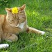Jeri Flowers Photo 4