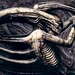 Scott Giger Photo 7