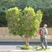 Harold Cutter Photo 7