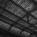 Thomas Roof Photo 21